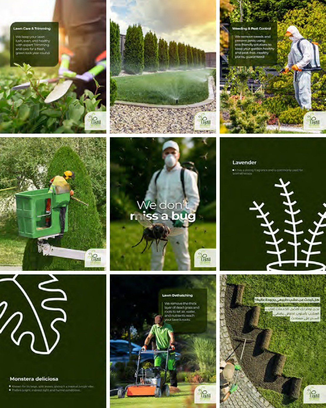 Pistil Instagram grid